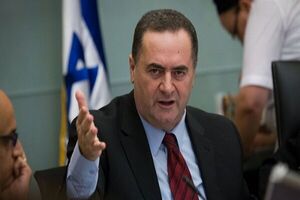 وزیر خارجه رژیم صهیونیستی: جنگ غزه متوقف نخواهد شد