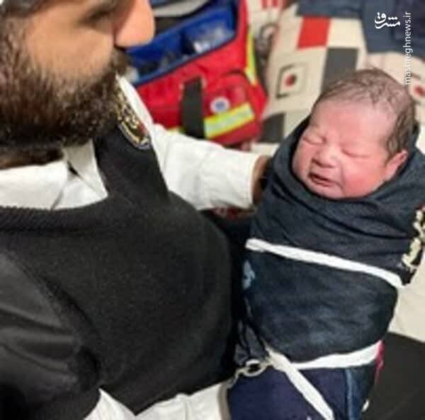 نوزاد عجول در دل برف به دنیا آمد +عکس