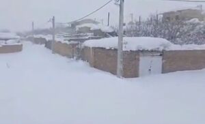 بارش یک متریِ برف در یکی از روستاهای قزوین