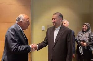 دیدار وزرای امور خارجه ایران و مصر در ژنو