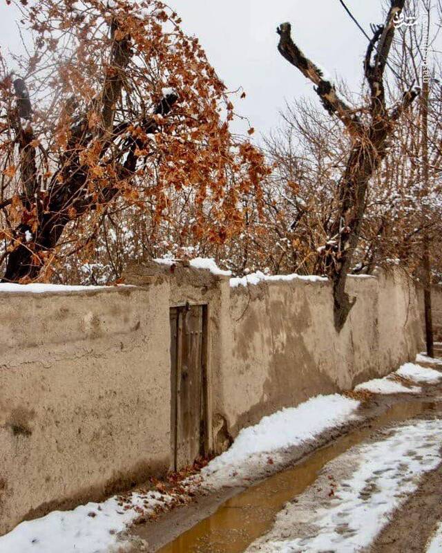 چشمانداز زیبا و رنگارنگ برفی شهرستان تفت 2