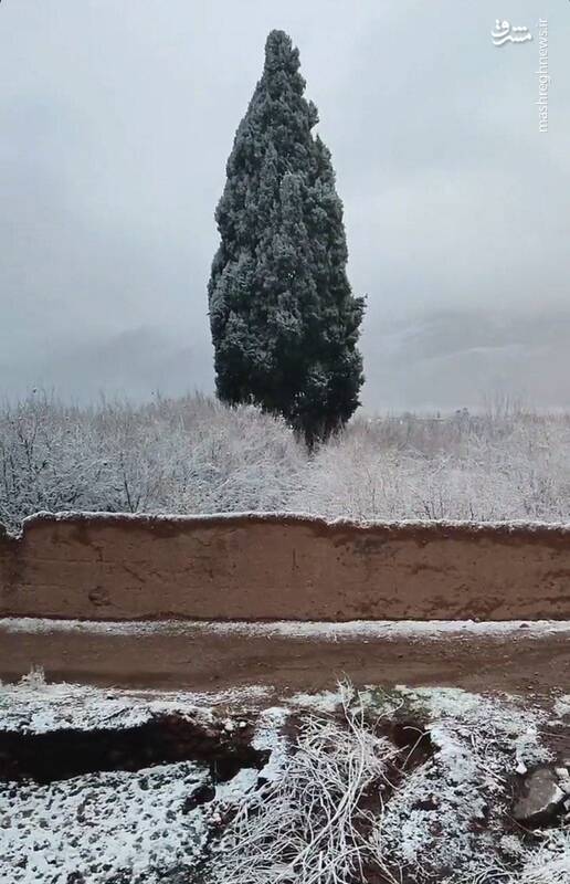 چشم‌انداز زیبا و رنگارنگ برفی شهرستان تفت