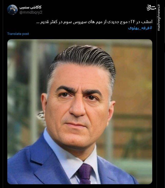 طنزپردازی براندازان با تصاویر رضا پهلوی + عکس 11