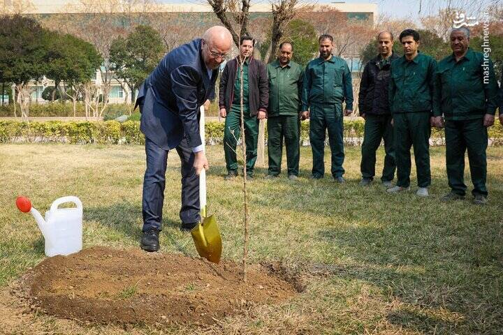 رییس مجلس دو نهال غرس کرد