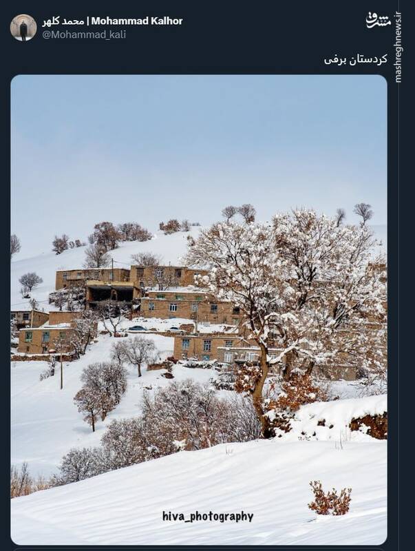 عکسی زیبا از کردستان برفی