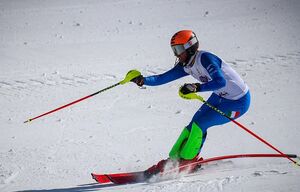 مسابقات اسکی آلپاین قهرمانی کشور
