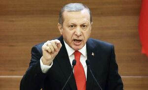 اردوغان: نتانیاهو روی جنایتکاران بین‌المللی را سفید کرده است