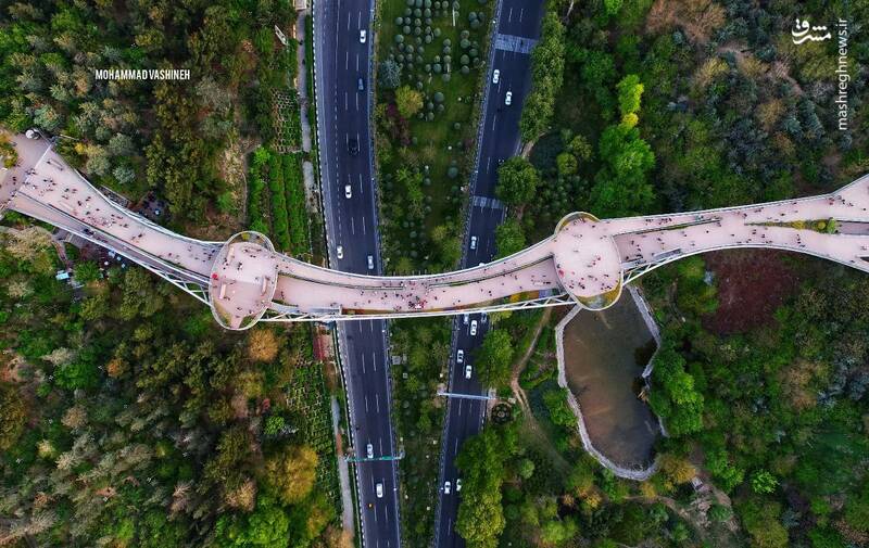 پل طبیعت؛ گذرگاهی زیبا در قلب پایتخت 2
