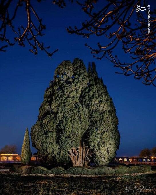 خشت به خشت این شهر را کشف کنید +عکس