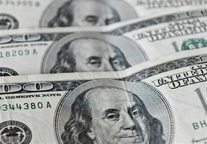 ثبات نرخ دلار و درهم و رشد قیمت یورو