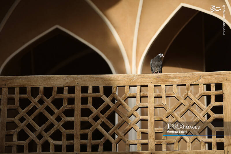 عکس/ یزد، نخستین شهر خشتی جهان