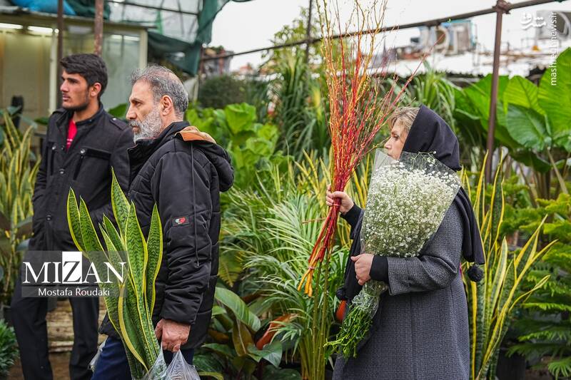 عکس/ بازار گل در آستانه بهار