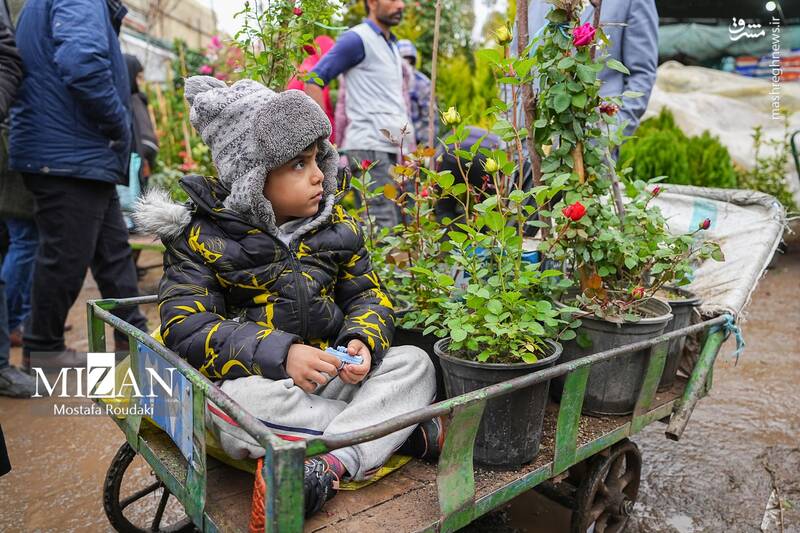 عکس/ بازار گل در آستانه بهار