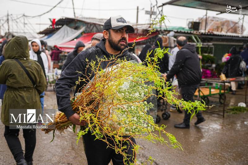 عکس/ بازار گل در آستانه بهار