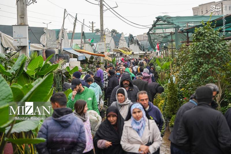 عکس/ بازار گل در آستانه بهار