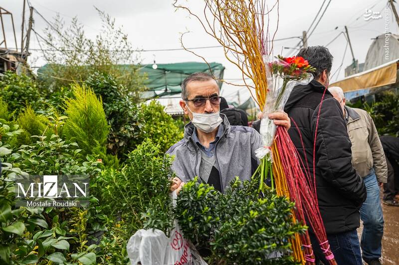 عکس/ بازار گل در آستانه بهار