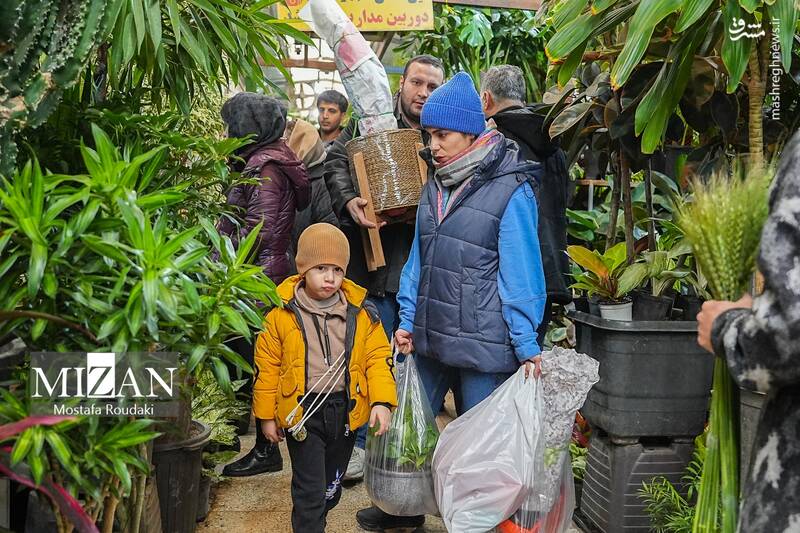 عکس/ بازار گل در آستانه بهار