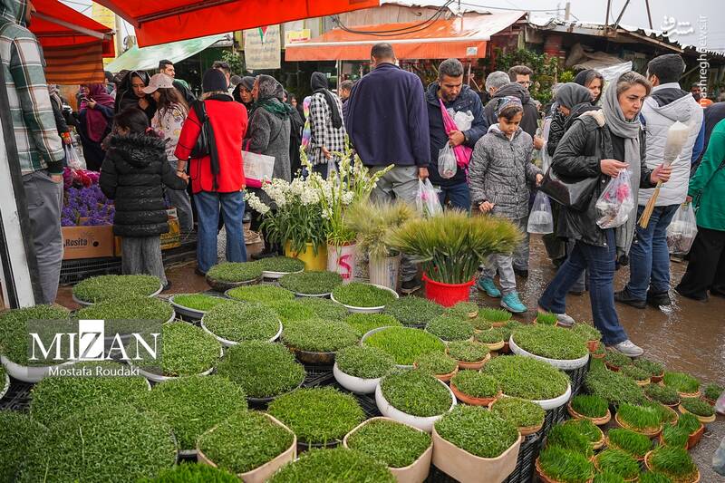 عکس/ بازار گل در آستانه بهار