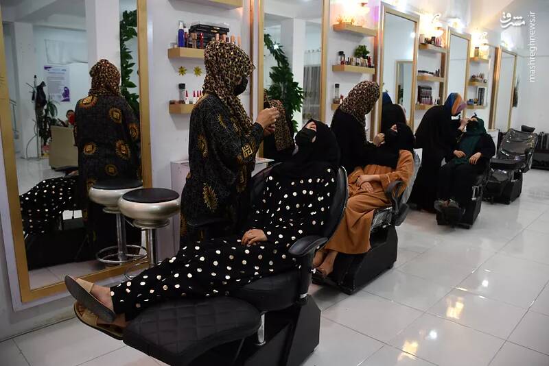 شهر در دام شهروندان