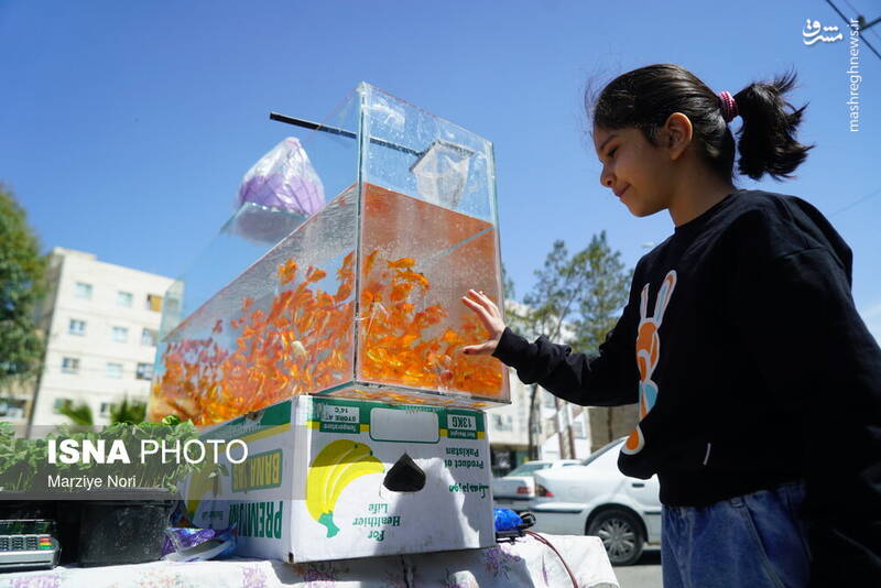 عکس/ استقبال از سال نو در سیستان و بلوچستان