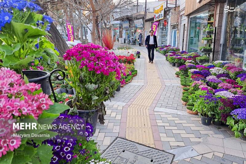 عکس/ حال و هوای بجنورد در آستانه عید نوروز