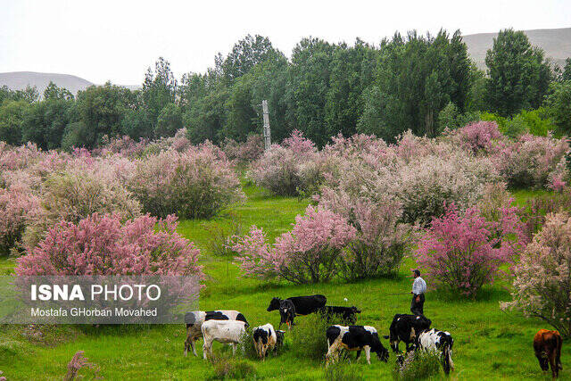 آذربایجان‌شرقی، نگینی در دل کوه‌های استوار