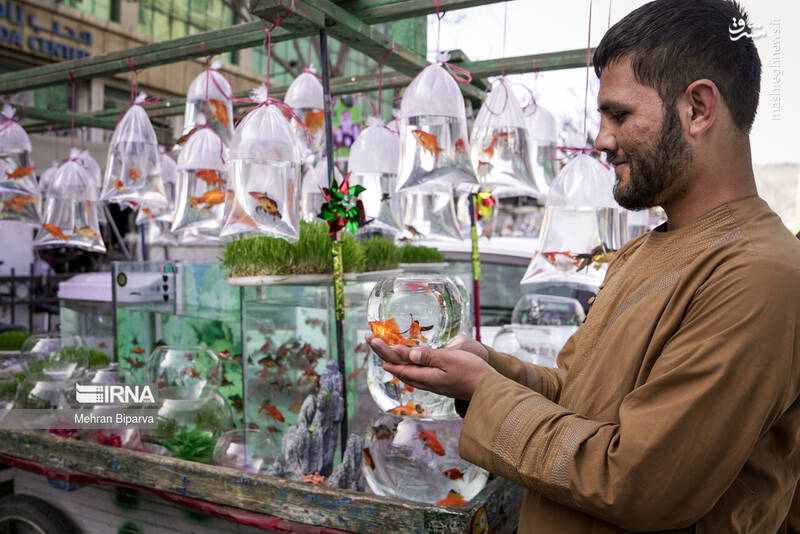 عکس/ خرید نوروزی در کابل