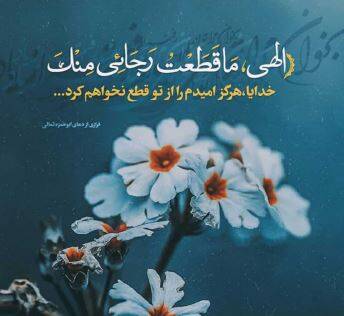 اسلام اگر تنها دعای کمیل و ابوحمزه را داشت کافی بود!