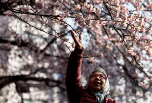 عکس/ صدای پای بهار در سراسر جهان
