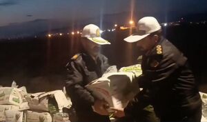 فیلم/ کمک پلیس به جمع‌آوری بار میوه خودروی واژگون شده