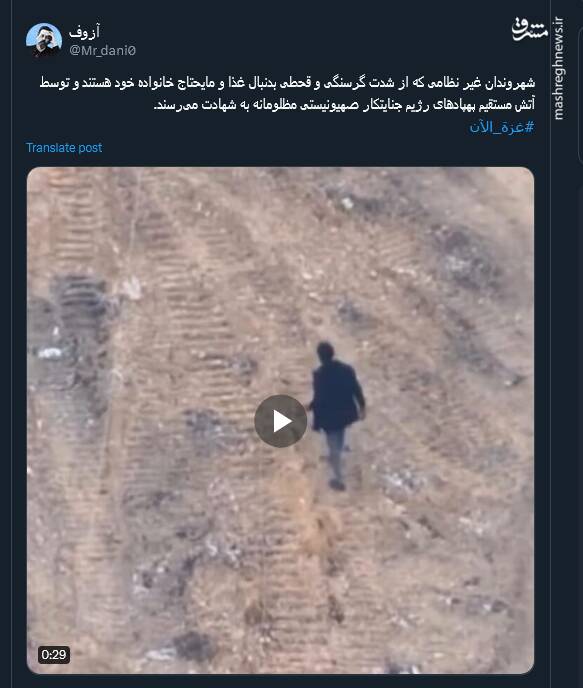 تصاویری از بی رحمی و جنایت رژیم صهیونیستی