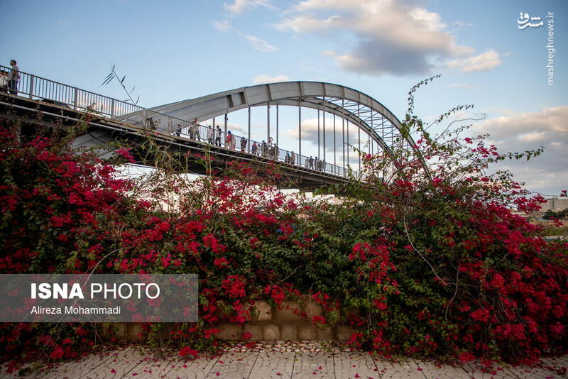 عکس/ مسافران نوروزی در پل سفید اهواز