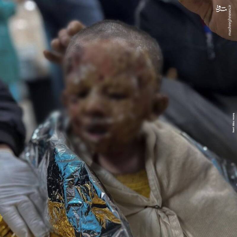 کدام کشور است که صفر تا صد حامی فلسطین مانده؟