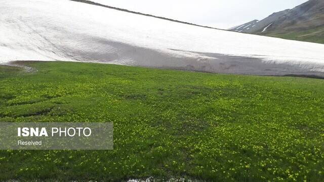 معنای واقعی زندگی روستایی در روستای یاستیقلعه ماهنشان