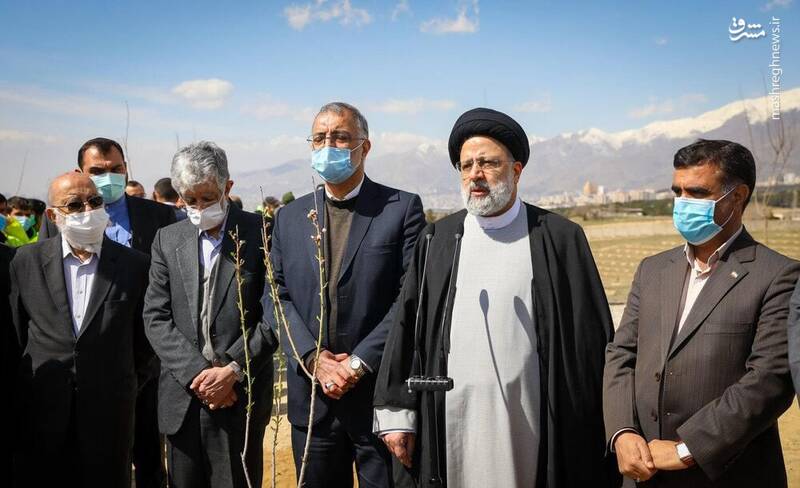 در سالهای اخیر چند اصله درخت به تهران اضافه شده است؟