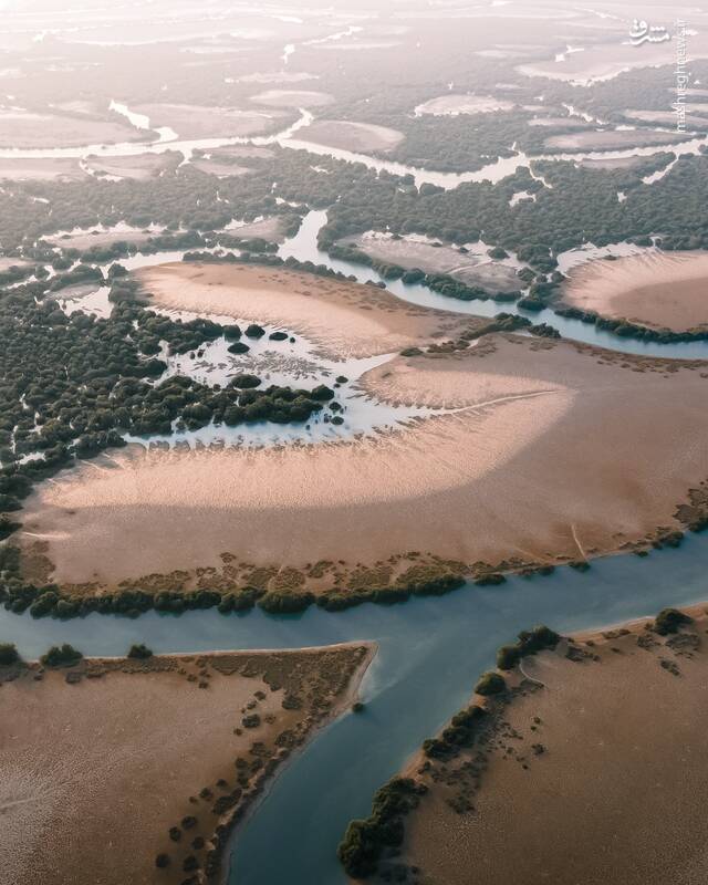 تصویری در ستایش هرمزگان زیبا از جزیره قشم