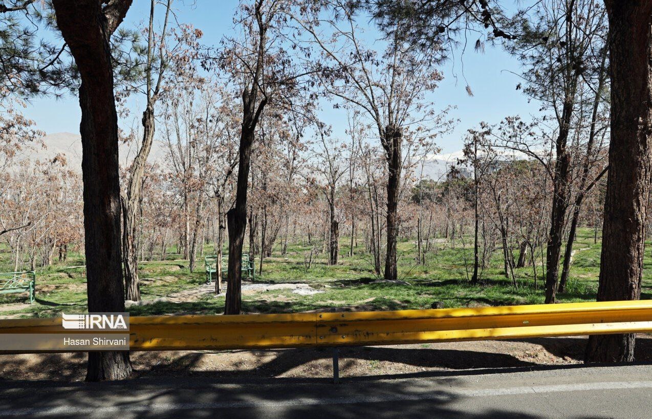 نمایش غیرت علوی در سراسر کشور/ پارکها و بوستانها امروز خلوت بود