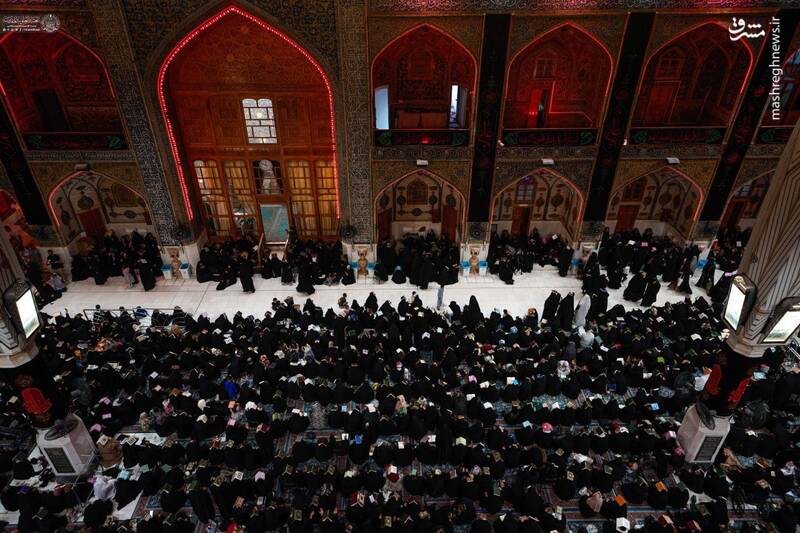 تصاویری از شب احیا در حرم امام علی(ع) و کربلا