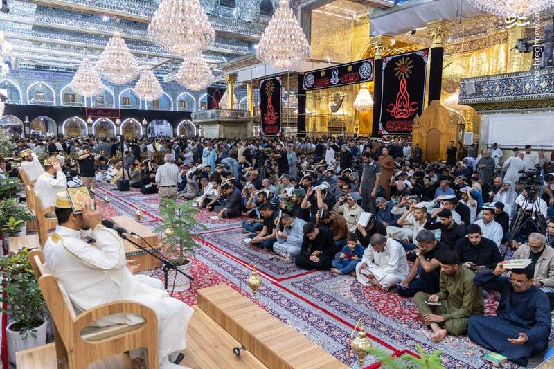 تصاویری از شب احیا در حرم امام علی(ع) و کربلا