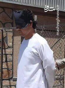 دستگیری عضو ارشد داعش در کرج + عکس 2