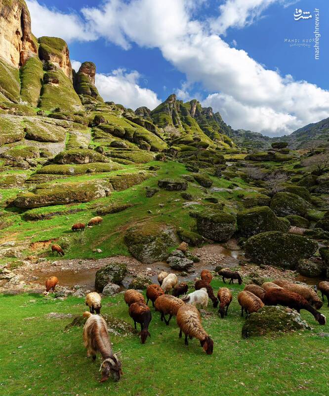 مخمل کوه لرستان، زیبایی بی‌ حد و حصر در میان کوه‌ها