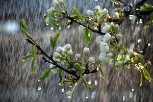 وضعیت آبوهوا در تعطیلات سه روزه عید فطر