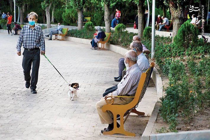 پارکها؛ تفرجگاه سگهای خانگی!