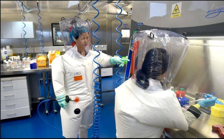 همدستی ۱۵ نهاد آمریکایی با آزمایشگاه چینی ساخت کووید ۱۹+عکس