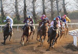 فیلم / کورس بهاره سوارکاری گنبدکاووس