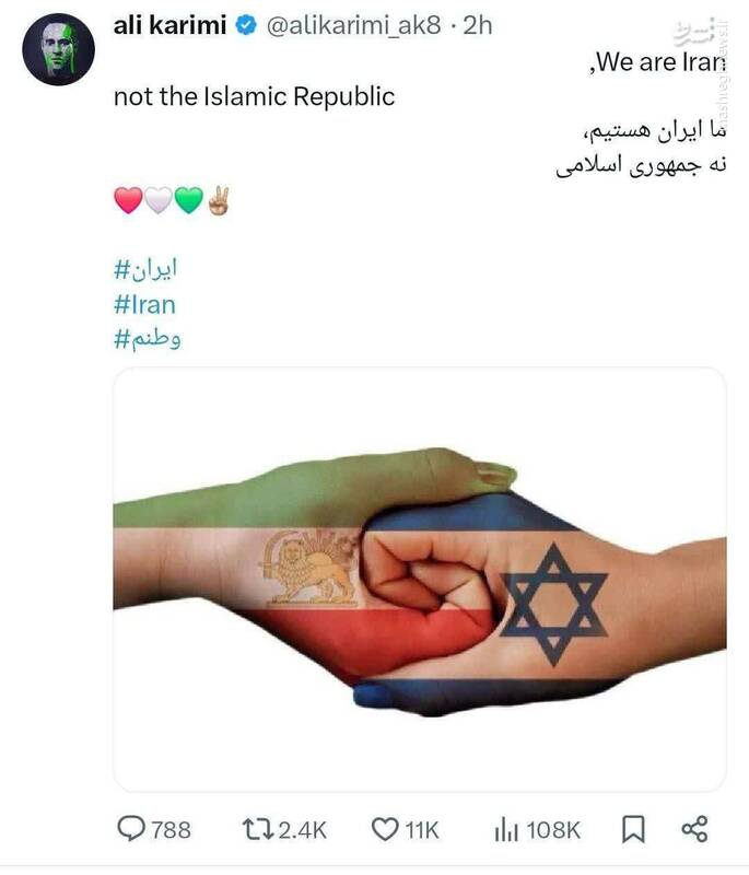 با پیاده نظام سایبری صهیونیستها آشنا شوید + عکس 5