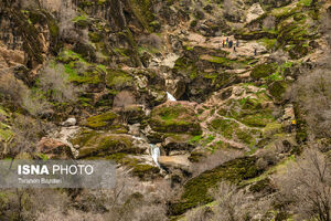 چشم انداز زیبا از مخمل کوه لرستان