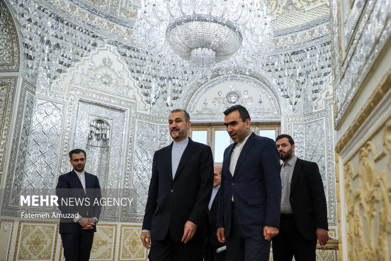 دیدار نایب رییس مجلس اعلای شیعیان لبنان با وزیر امور خارجه