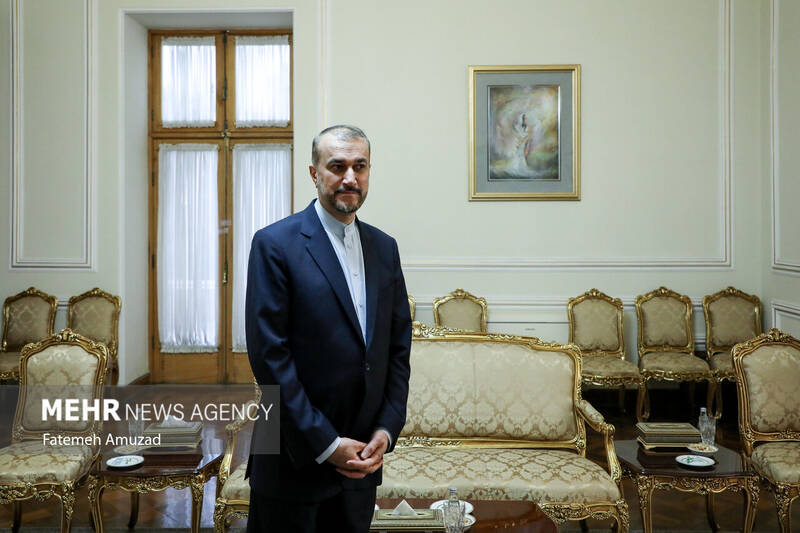 دیدار نایب رییس مجلس اعلای شیعیان لبنان با وزیر امور خارجه