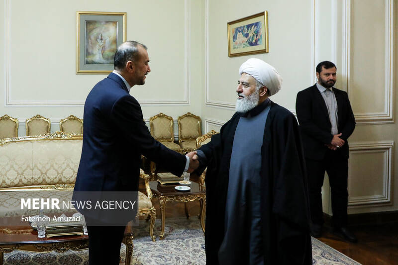 دیدار نایب رییس مجلس اعلای شیعیان لبنان با وزیر امور خارجه